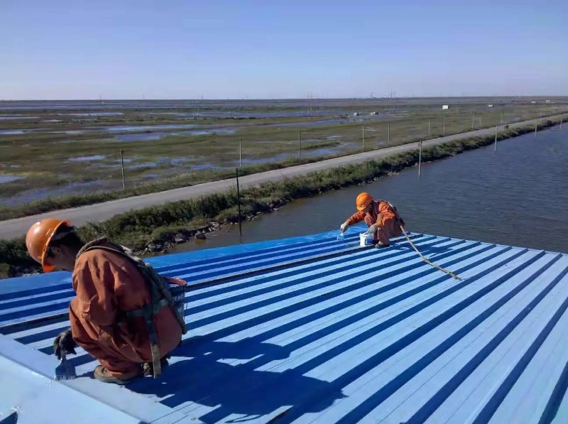 平邑彩钢瓦屋面防腐翻新